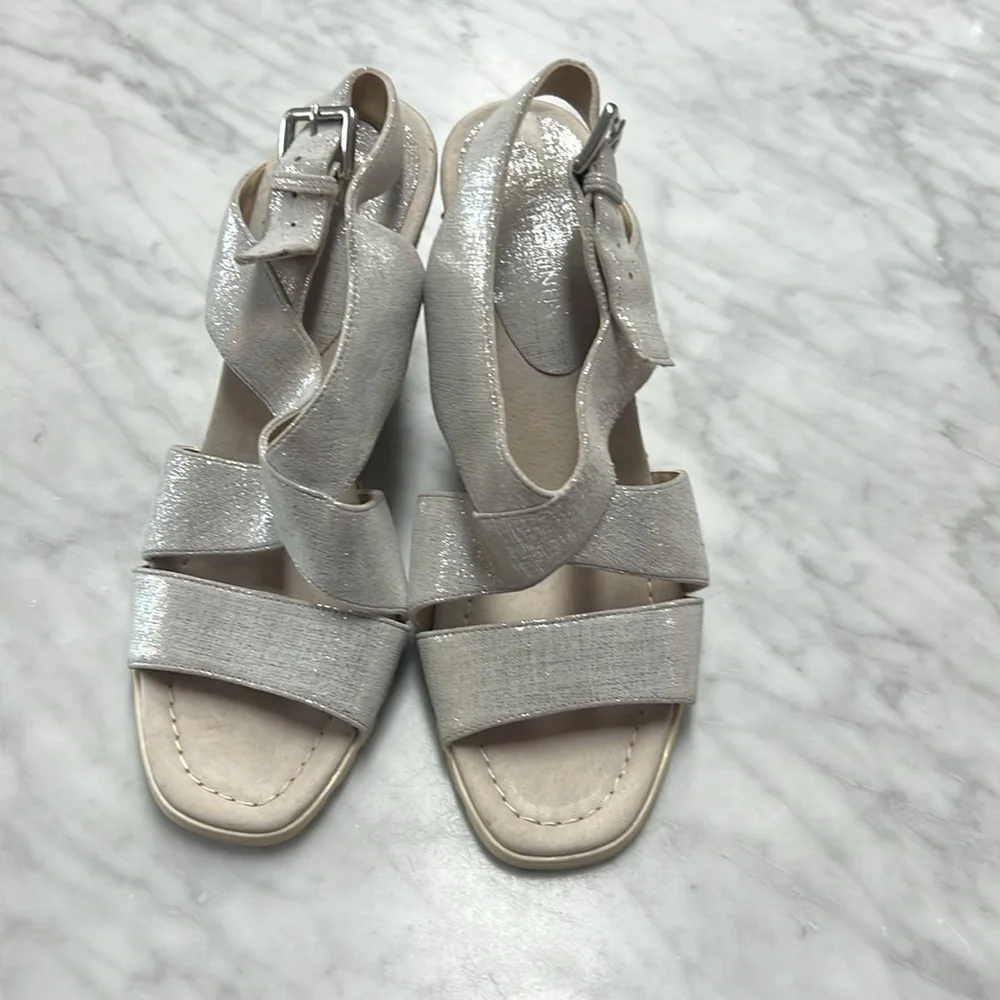 Donald J Pliner Brevos Silver Wedge Espadrilles Size 8
